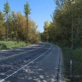 early-autumn-fall-v3.7-ats-1-160x160.jpg