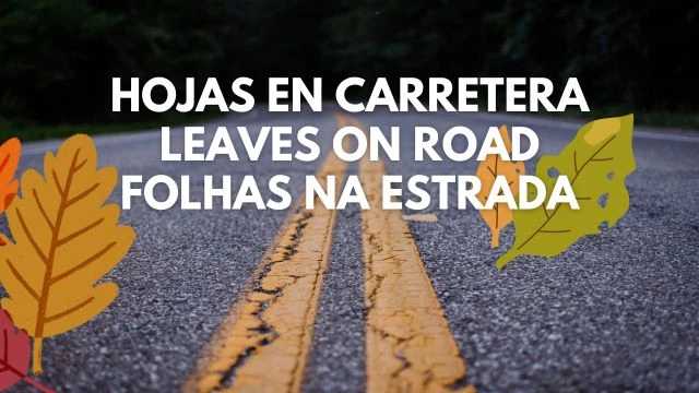 leaves-on-the-road-ets2-1.52.-ets2-1.jpg